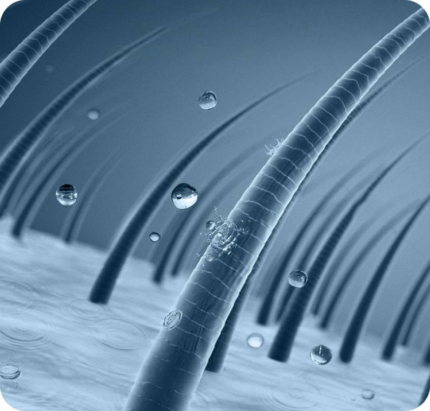 真人视讯百家乐